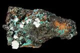 Aurichalcite and Calcite Association - Hidden Treasure Mine #146206-1